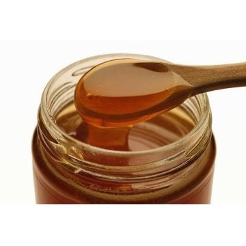  Jarring Raw Honey Buckhill Ridge Clermont FL